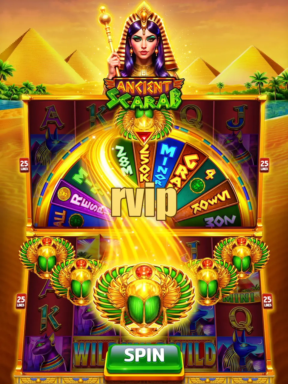 rvip APK